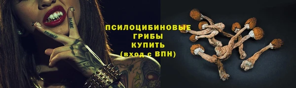 героин Алексин