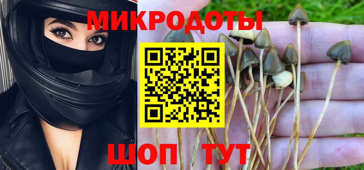 Галлюциногенные грибы мицелий Самара